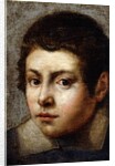 Head of a Boy by Northern Italian School