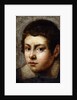 Head of a Boy by Northern Italian School
