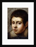 Head of a Boy by Northern Italian School