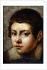 Head of a Boy by Northern Italian School