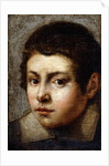 Head of a Boy by Northern Italian School
