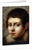Head of a Boy by Northern Italian School
