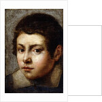 Head of a Boy by Northern Italian School