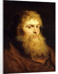 Head of a Bearded Man by Peter Paul Rubens