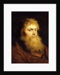 Head of a Bearded Man by Peter Paul Rubens