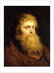 Head of a Bearded Man by Peter Paul Rubens