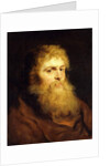 Head of a Bearded Man by Peter Paul Rubens