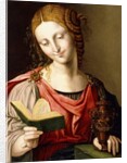 Saint Mary Magdalene by Girolamo Genga