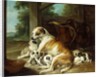 A Mother with her Puppies, 1734 by Christophe Huet