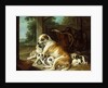 A Mother with her Puppies, 1734 by Christophe Huet