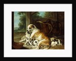 A Mother with her Puppies, 1734 by Christophe Huet
