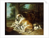 A Mother with her Puppies, 1734 by Christophe Huet