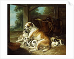 A Mother with her Puppies, 1734 by Christophe Huet