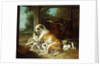 A Mother with her Puppies, 1734 by Christophe Huet