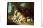A Mother with her Puppies, 1734 by Christophe Huet
