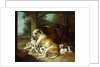 A Mother with her Puppies, 1734 by Christophe Huet
