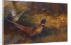 A Cock and Hen Pheasant at the Edge of a Wood, 1897 by Archibald Thorburn