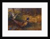 A Cock and Hen Pheasant at the Edge of a Wood, 1897 by Archibald Thorburn