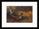 A Cock and Hen Pheasant at the Edge of a Wood, 1897 by Archibald Thorburn