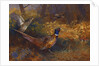 A Cock and Hen Pheasant at the Edge of a Wood, 1897 by Archibald Thorburn