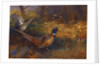 A Cock and Hen Pheasant at the Edge of a Wood, 1897 by Archibald Thorburn