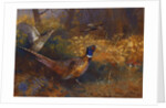 A Cock and Hen Pheasant at the Edge of a Wood, 1897 by Archibald Thorburn