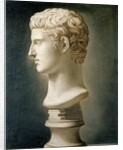 Bust of Caesar Augustus, c.1800 by School Italian