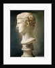 Bust of Caesar Augustus, c.1800 by School Italian