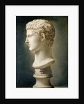 Bust of Caesar Augustus, c.1800 by School Italian