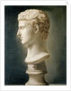Bust of Caesar Augustus, c.1800 by School Italian