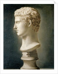Bust of Caesar Augustus, c.1800 by School Italian