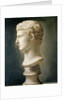 Bust of Caesar Augustus, c.1800 by School Italian