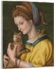 Portrait of a young lady holding a cat by Francesco Ubertini Verdi Bachiacca
