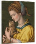 Portrait of a young lady holding a cat by Francesco Ubertini Verdi Bachiacca