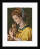 Portrait of a young lady holding a cat by Francesco Ubertini Verdi Bachiacca