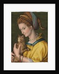 Portrait of a young lady holding a cat by Francesco Ubertini Verdi Bachiacca