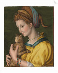 Portrait of a young lady holding a cat by Francesco Ubertini Verdi Bachiacca
