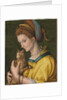 Portrait of a young lady holding a cat by Francesco Ubertini Verdi Bachiacca