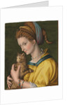 Portrait of a young lady holding a cat by Francesco Ubertini Verdi Bachiacca