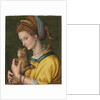 Portrait of a young lady holding a cat by Francesco Ubertini Verdi Bachiacca