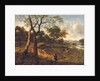 Wooded evening landscape with a hunter and dogs by Adriaen van de & Wynants Jan Velda