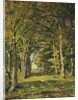 The Woods of Famars, 1887 by Henri-Joseph Harpignies