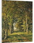 The Woods of Famars, 1887 by Henri-Joseph Harpignies