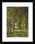The Woods of Famars, 1887 by Henri-Joseph Harpignies