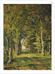 The Woods of Famars, 1887 by Henri-Joseph Harpignies