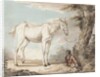 An Old Grey Horse Tethered to a Tree, a Boy resting nearby by Paul Sandby