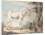 An Old Grey Horse Tethered to a Tree, a Boy resting nearby by Paul Sandby
