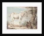 An Old Grey Horse Tethered to a Tree, a Boy resting nearby by Paul Sandby