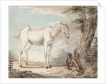 An Old Grey Horse Tethered to a Tree, a Boy resting nearby by Paul Sandby