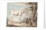 An Old Grey Horse Tethered to a Tree, a Boy resting nearby by Paul Sandby